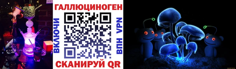 сколько стоит Курчалой ОМГ ОМГ сайт Псилоцибиновые грибы мухоморы